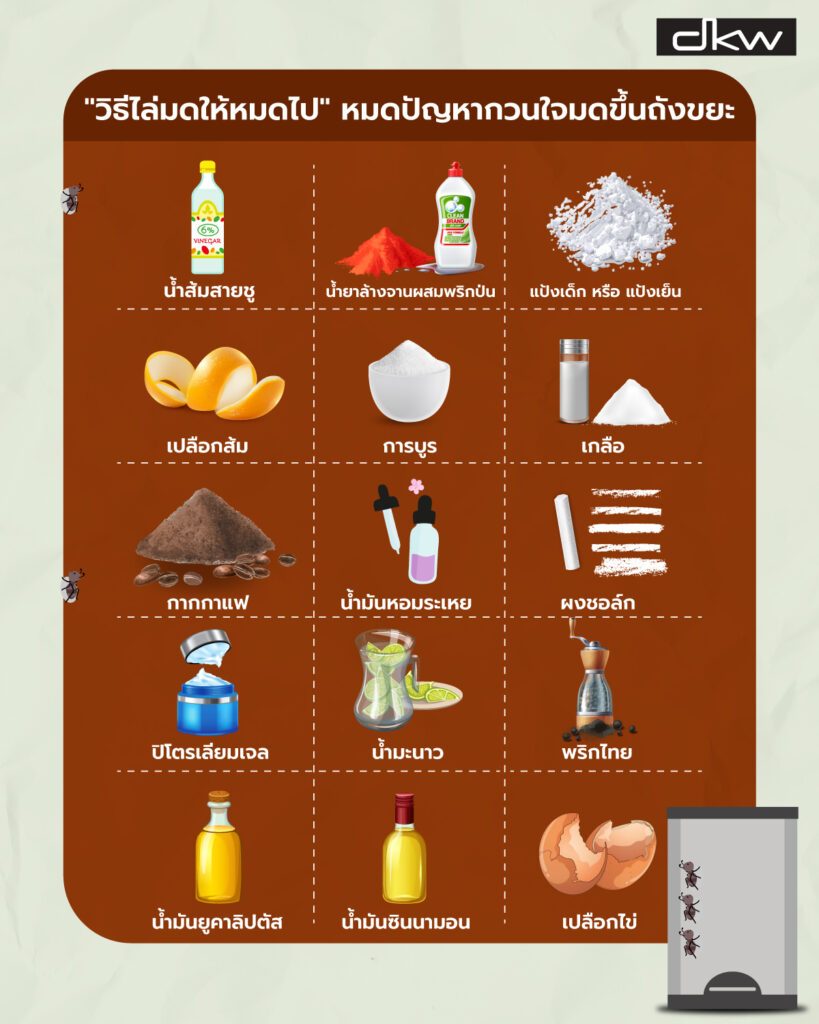 วิธีไล่มด